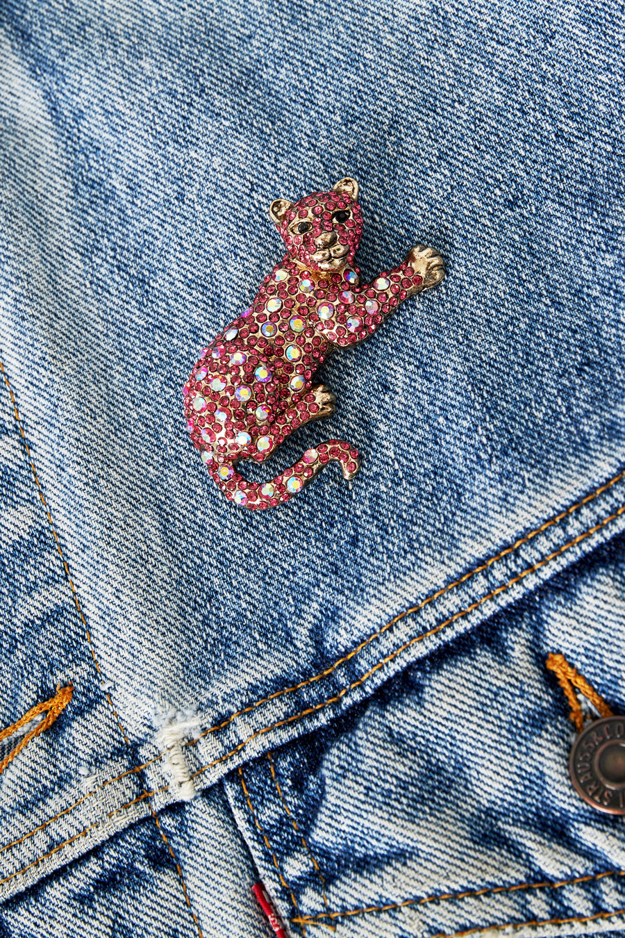 Luipaard Broche