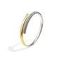 Couleur or et argent