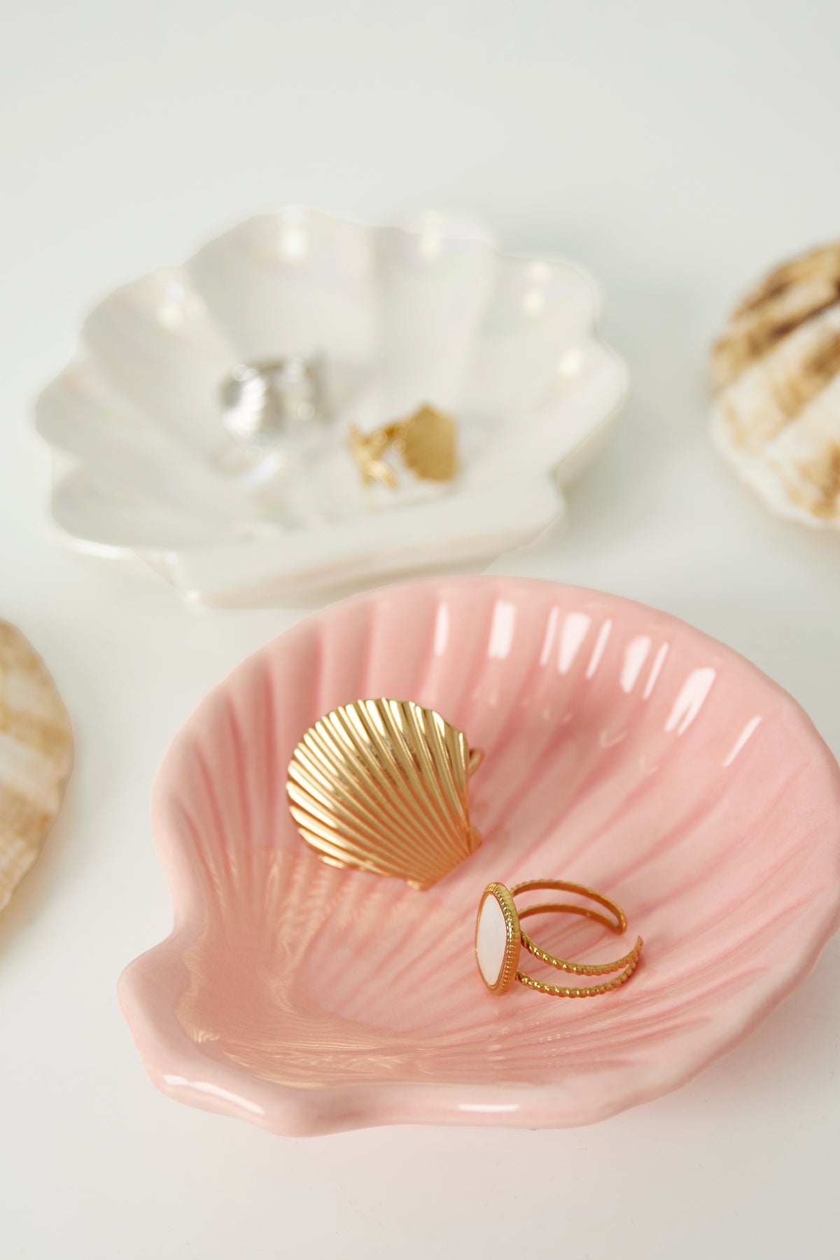 Glazen display shell sign