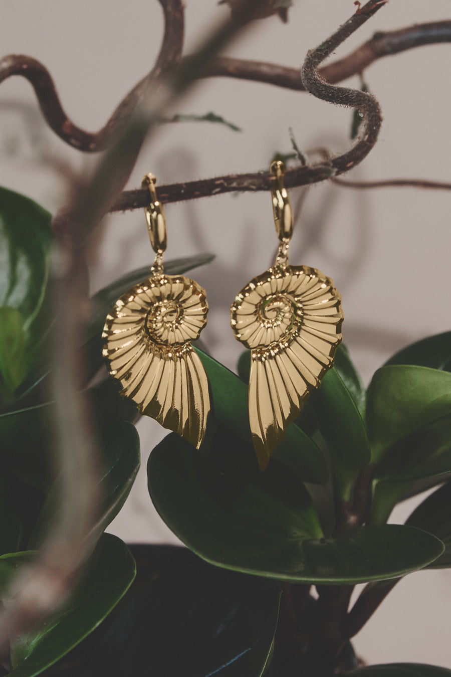 Oorringetjes met grote draai schelp charm
