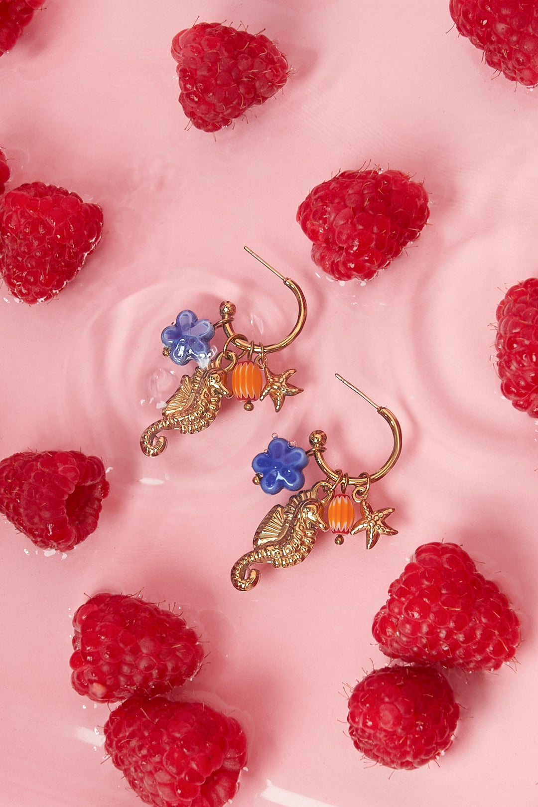 Oorringen met zeepaardje en charms