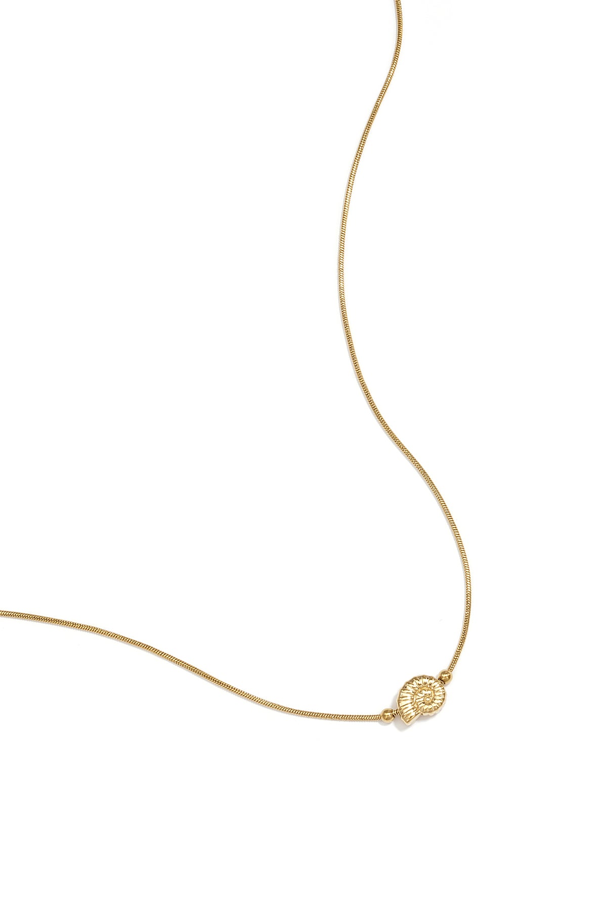 Minimalistische ketting met spiraalschelpje