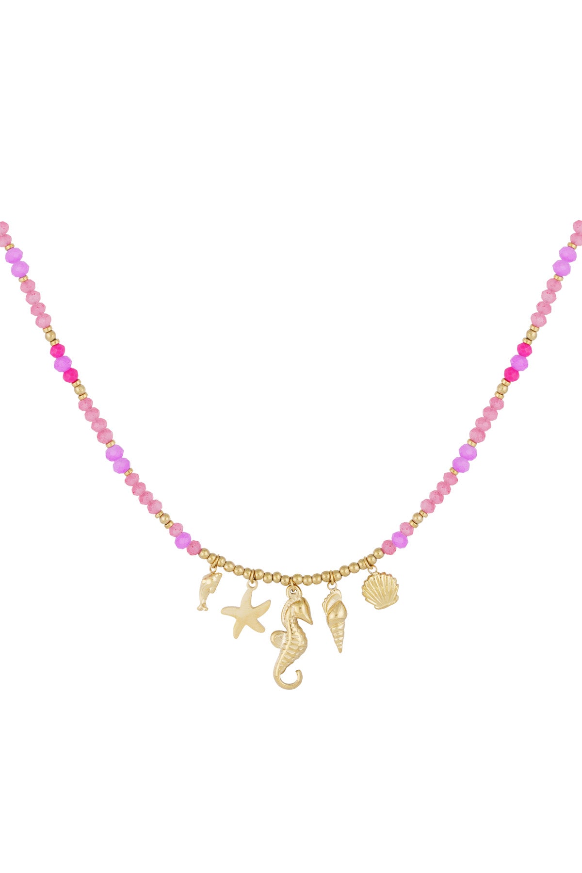 Ketting dolphin dream
