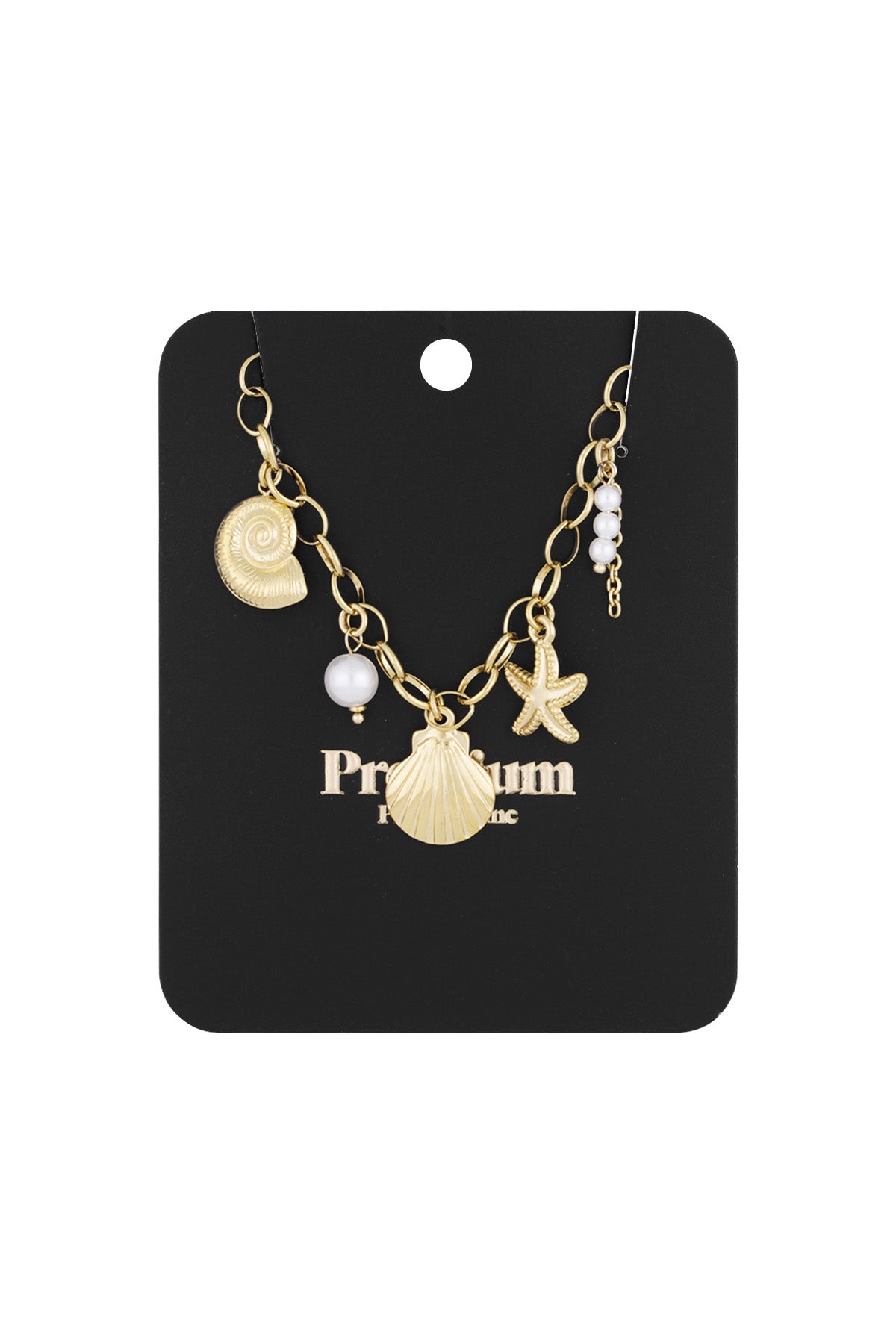 schelpjes ketting