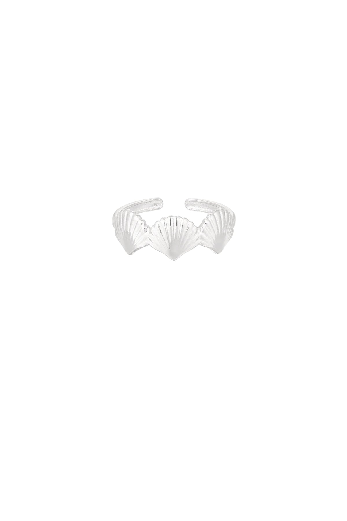 ring sea shell lover