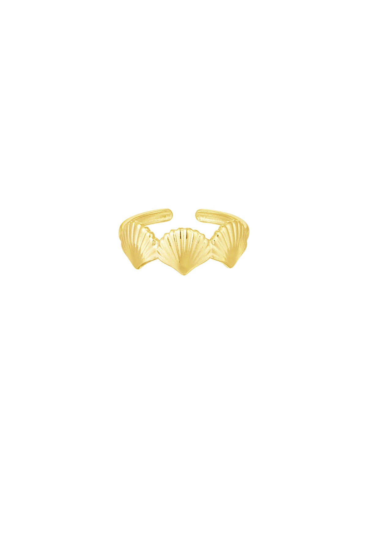 ring sea shell lover
