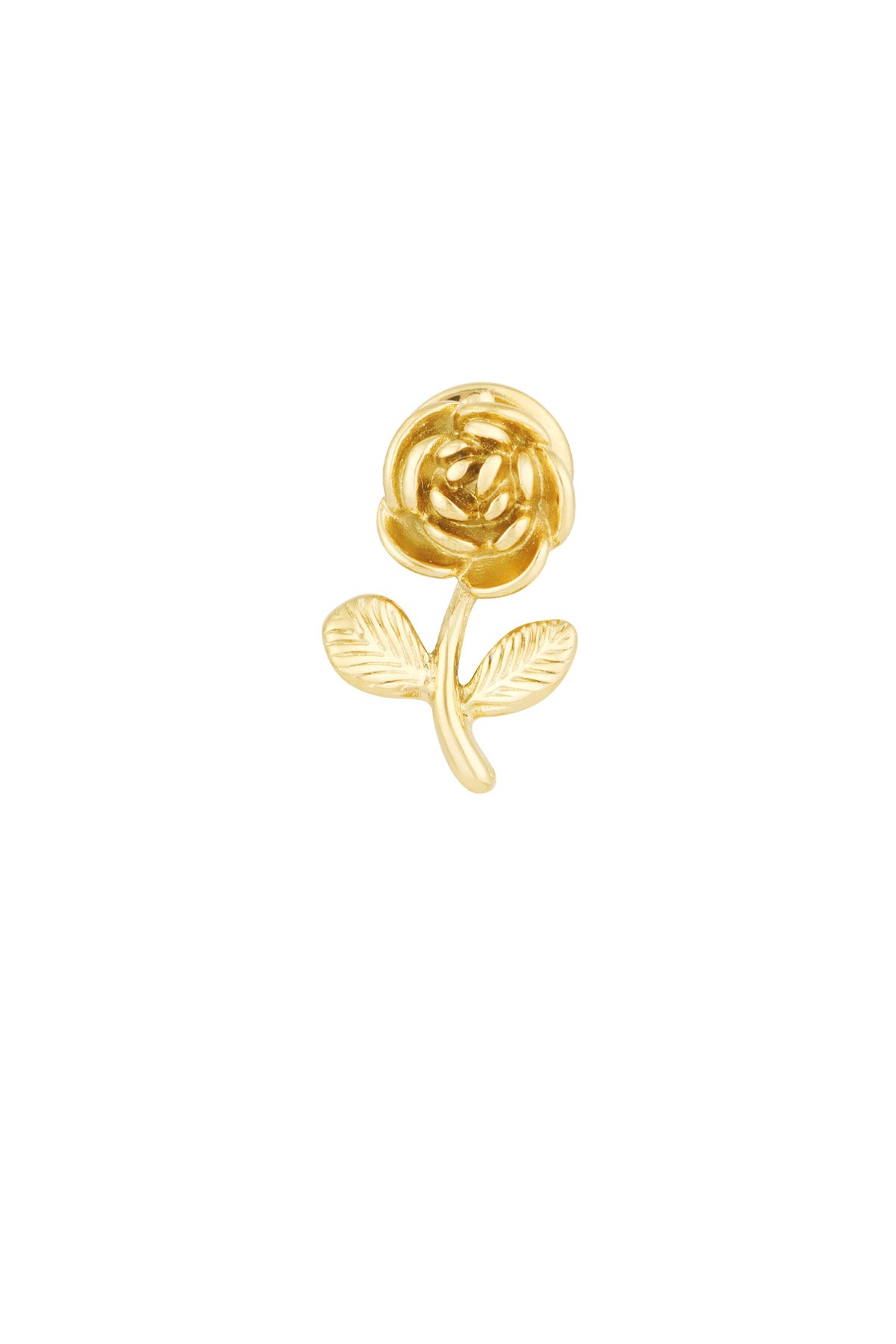 Gold colour