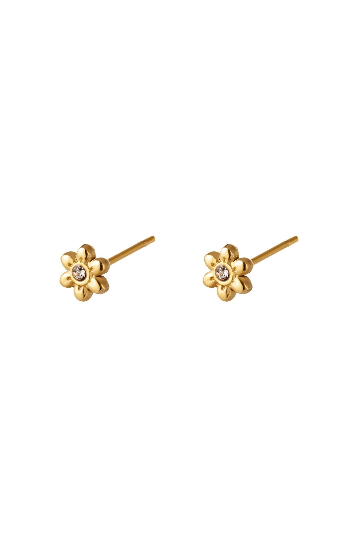 Gold colour