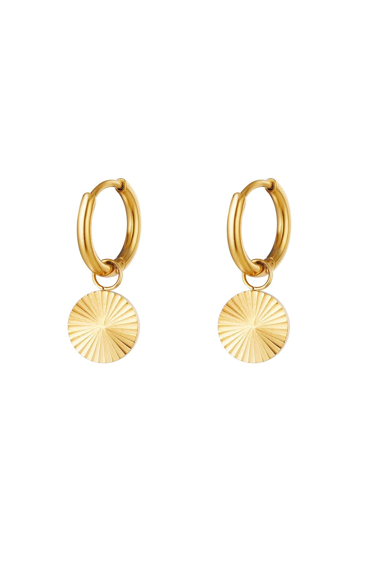 Stainless Steel Drop Earrings for Women - Silver and Gold Tone