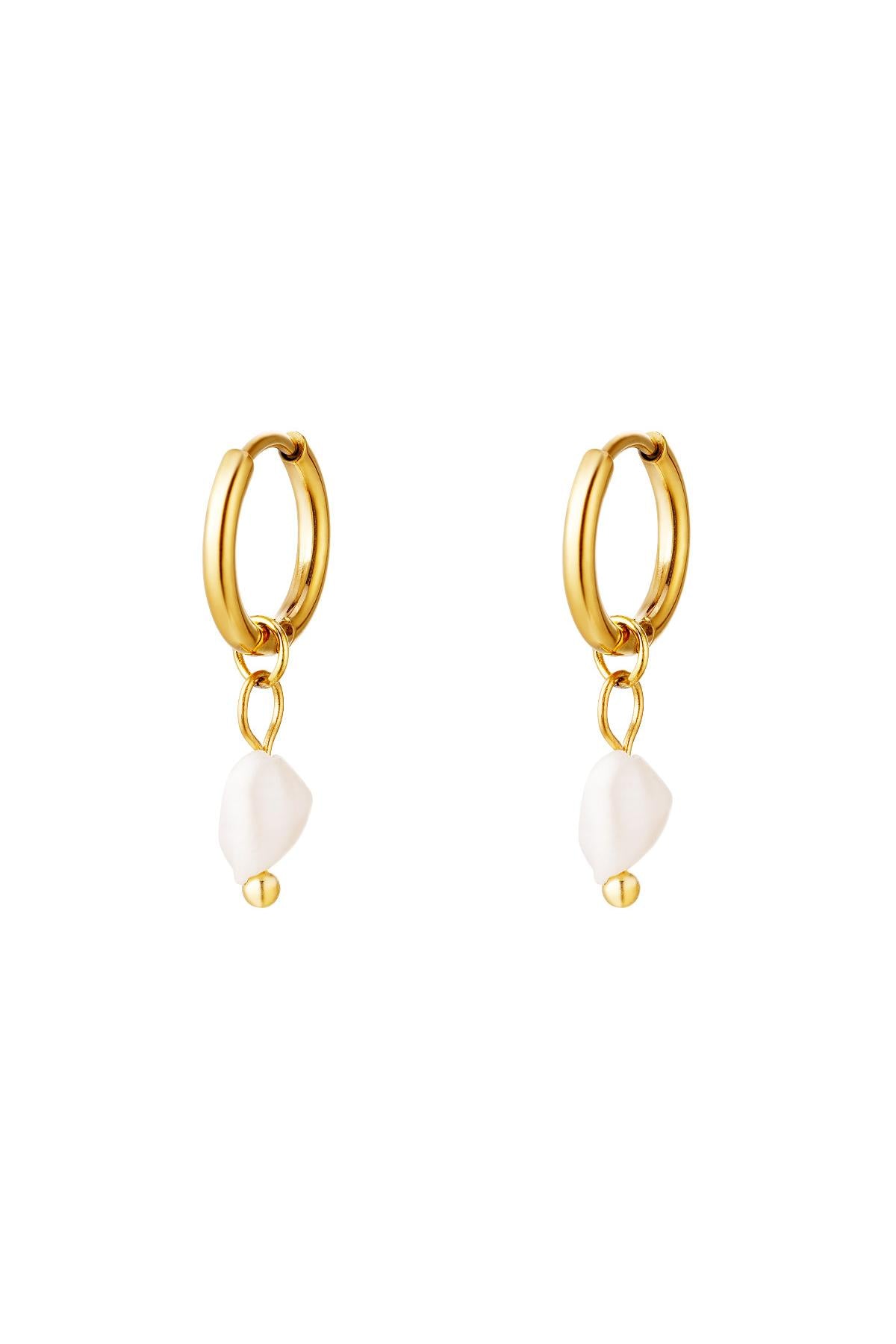 Boucles d'oreilles pendantes pour femmes en acier inoxydable – couleur argent et couleur or