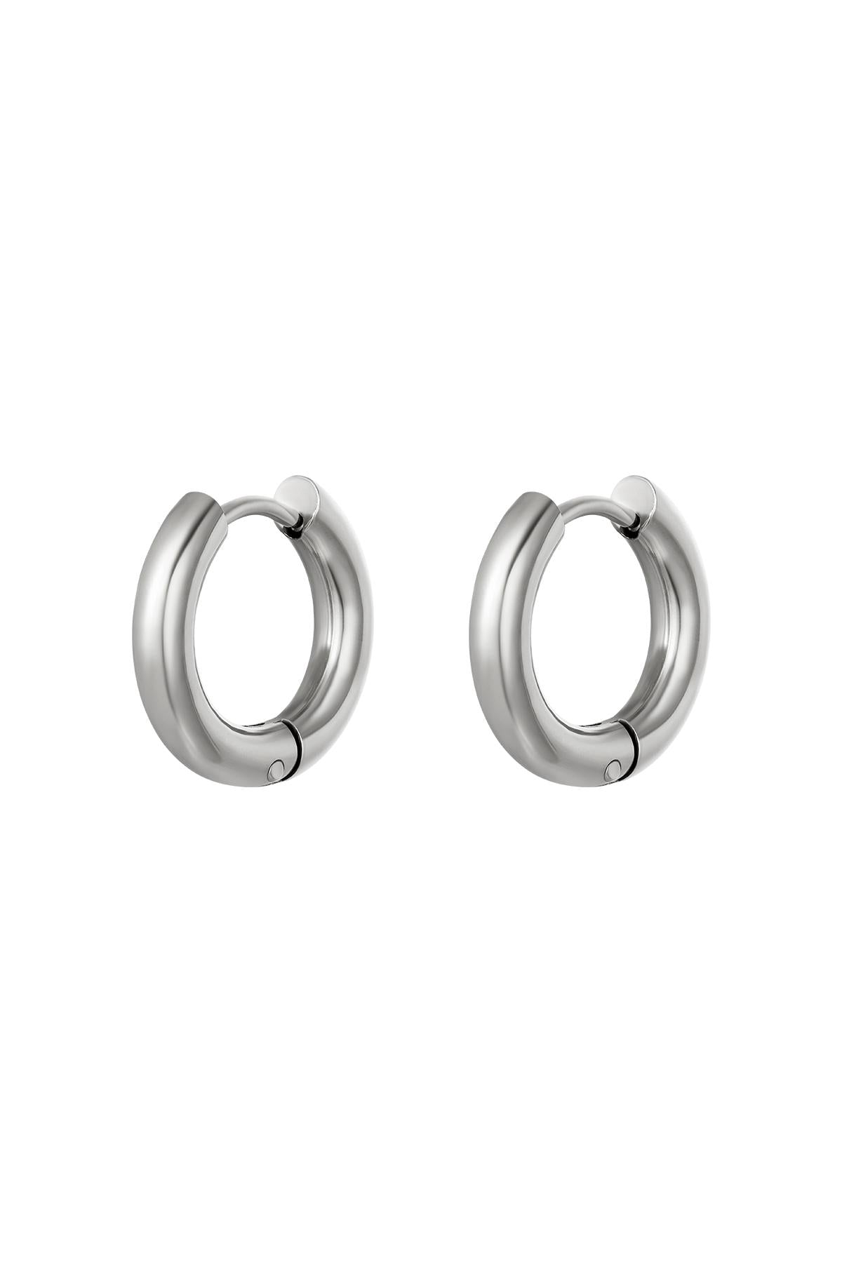 Round Stainless Steel Hoop Earrings for Women – Gold Tone and Silver Tone
