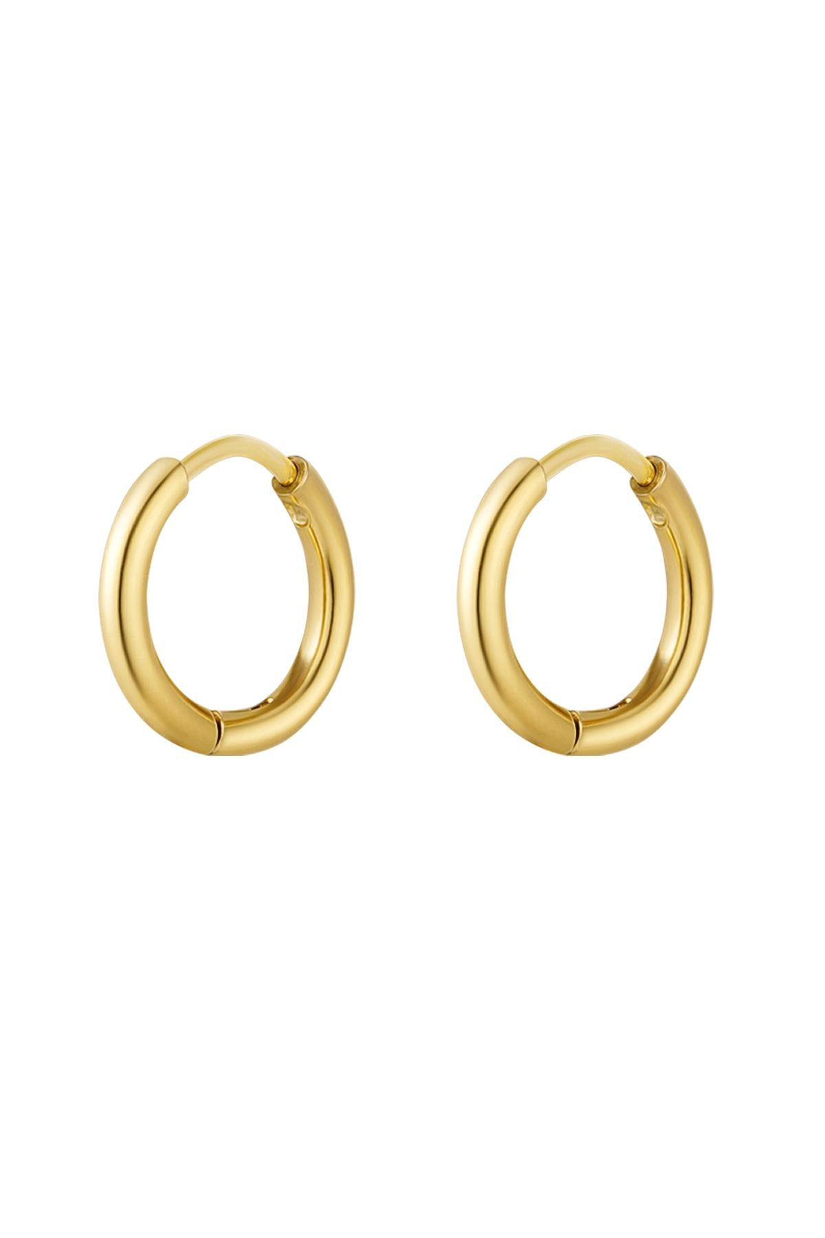Women's Stainless Steel Hoop Earrings – Silver and Gold Toned