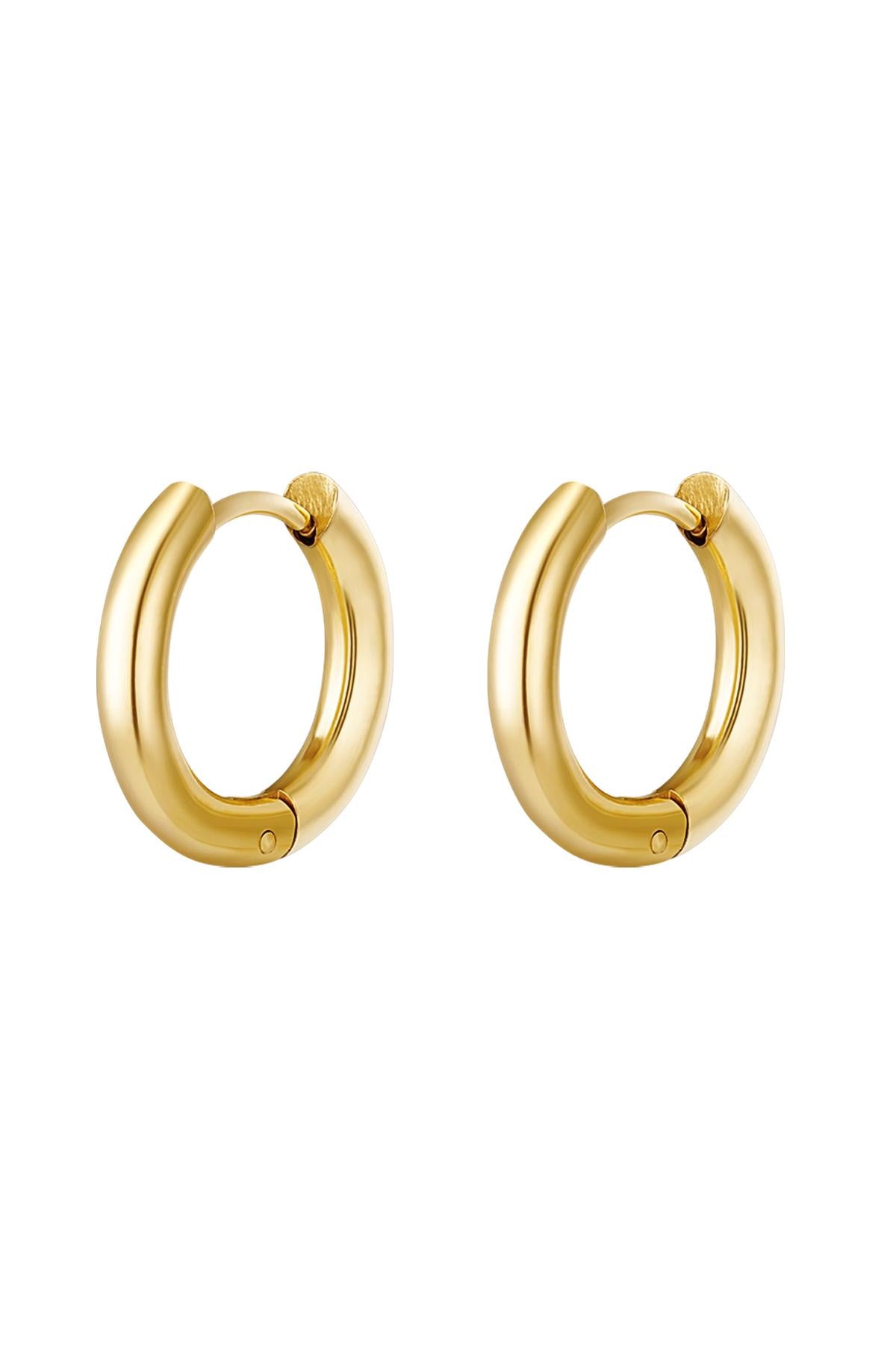 Boucles d'oreilles créoles pour femmes en acier inoxydable – doré et argenté
