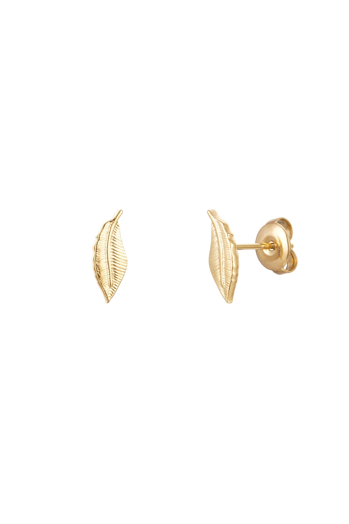 Gold colour