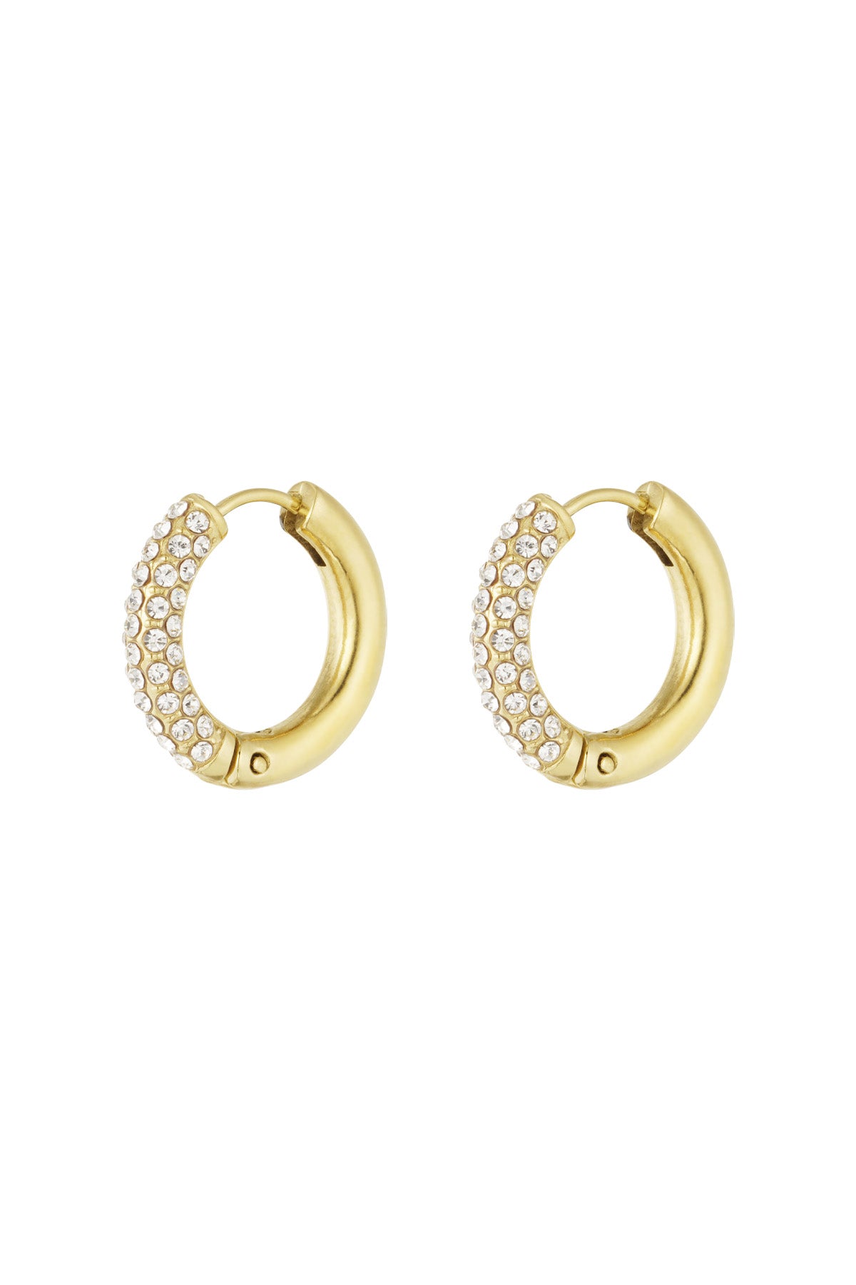 Stainless Steel Hoop Earrings for Women – Multiple Colors