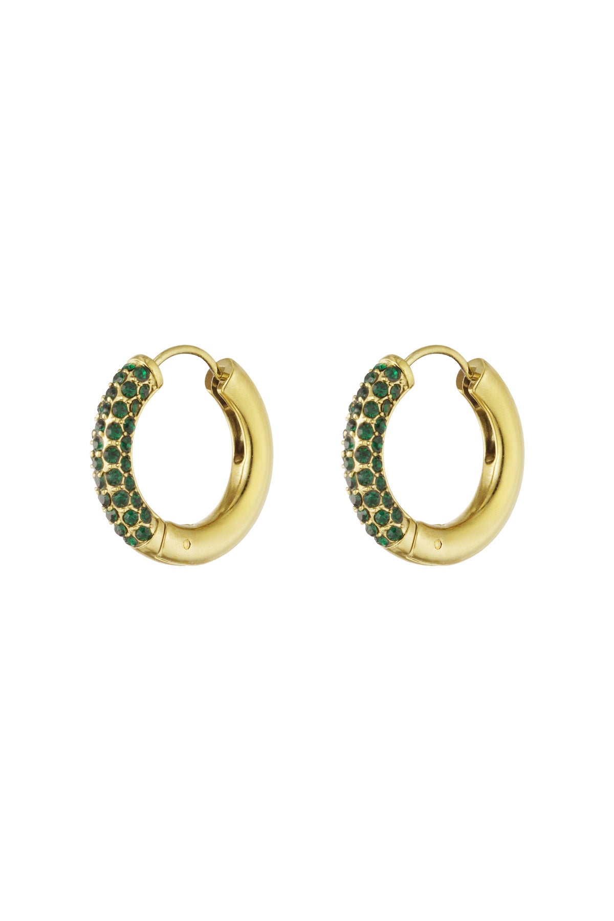 Shiny Rings oorbellen