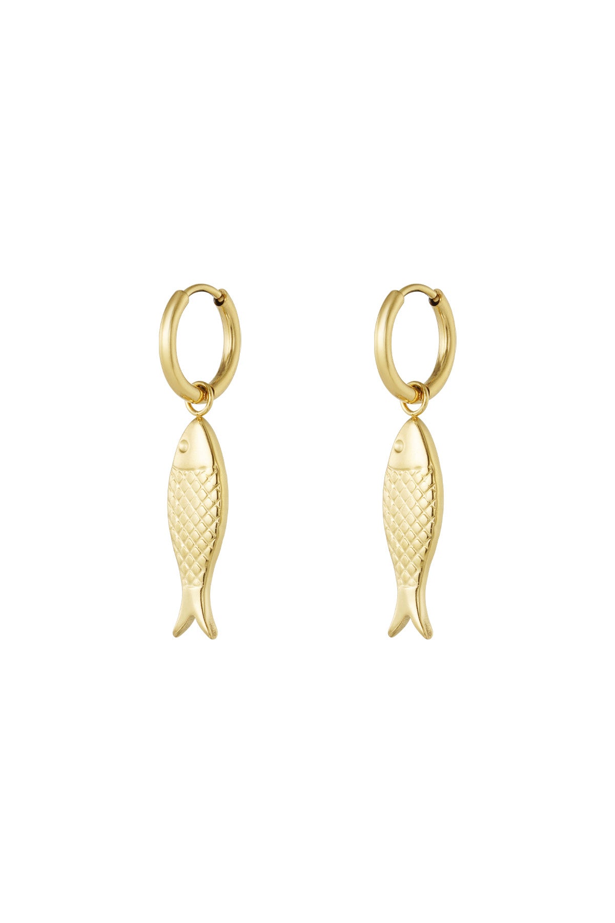 Gold colour