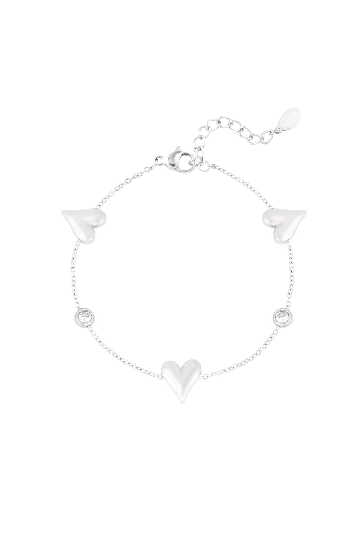 Stainless Steel Charm Bracelet for Women - Gold and Silver-Toned