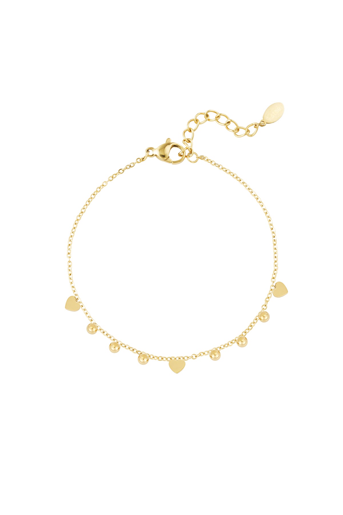 Women's Stainless Steel Charm Bracelet - Gold and Silver Toned