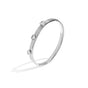 couleur argentée