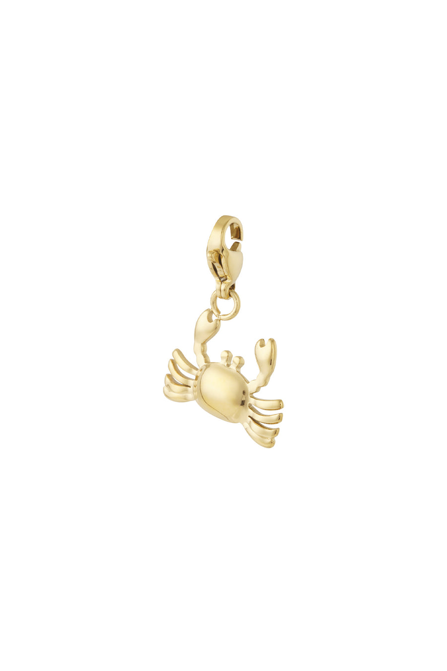 Composant de bijoux en acier inoxydable avec détails océaniques – couleur or