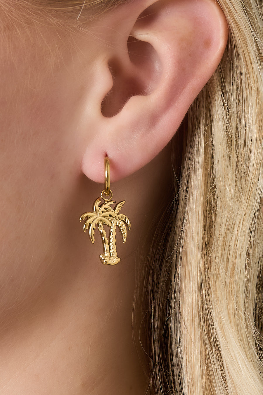 Boucles d'oreilles pendantes pour femmes en acier inoxydable 304, motif fruit – couleur or et argent