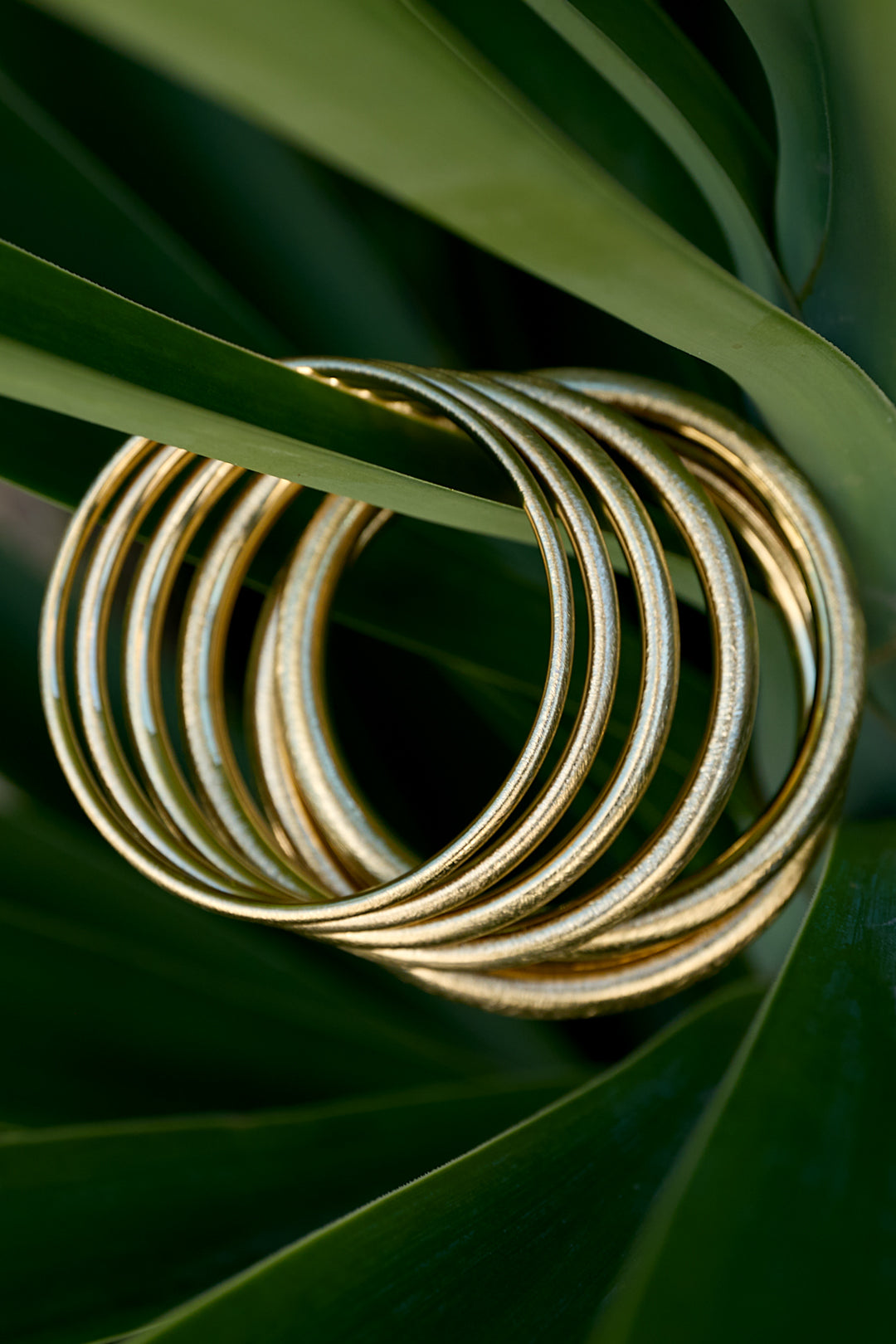 Bracelet jonc pour femmes en acier inoxydable 304, forme ronde – couleur or et argent – photo 2