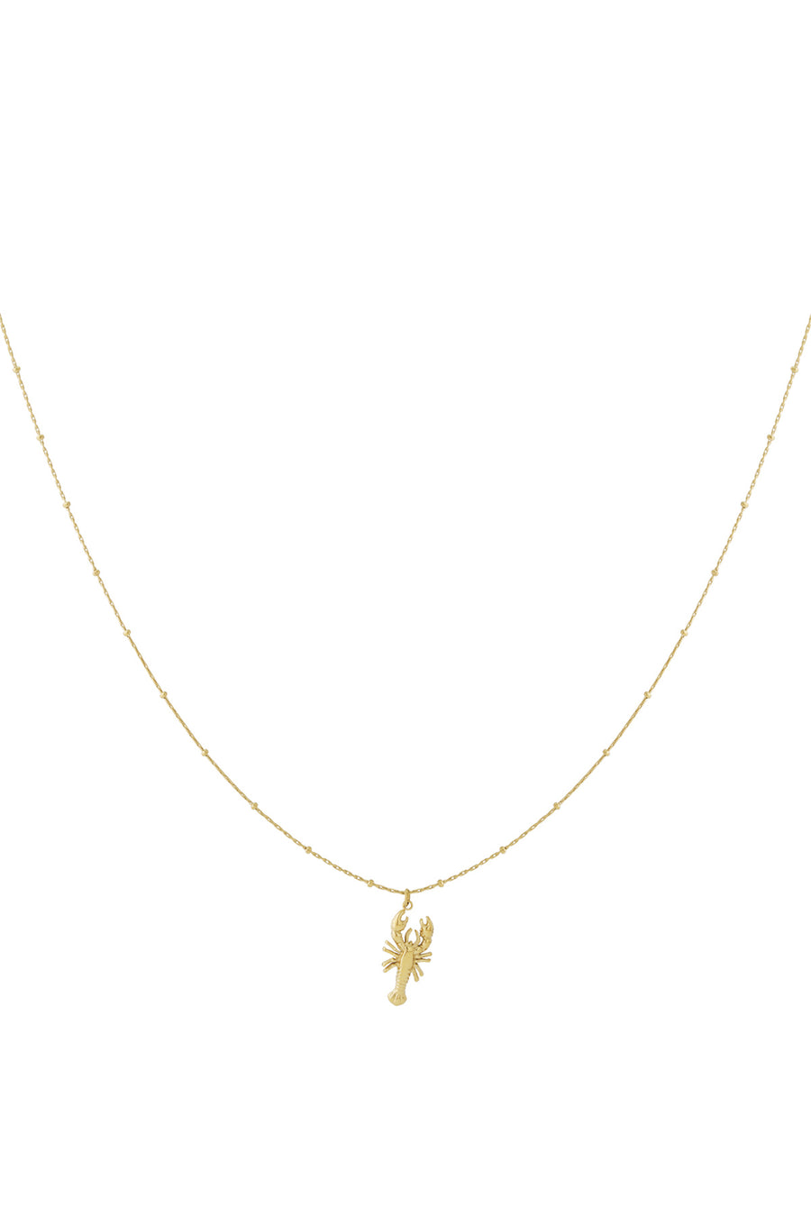   Hangerkettingen Animal Casual Daily Simple Series Damessieraden