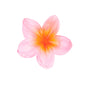 Rose layette