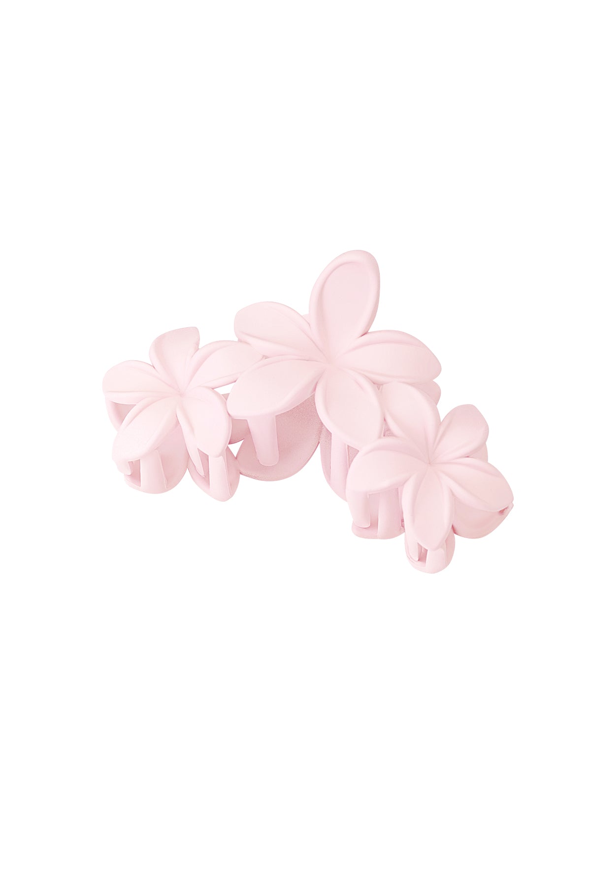 Babyroze