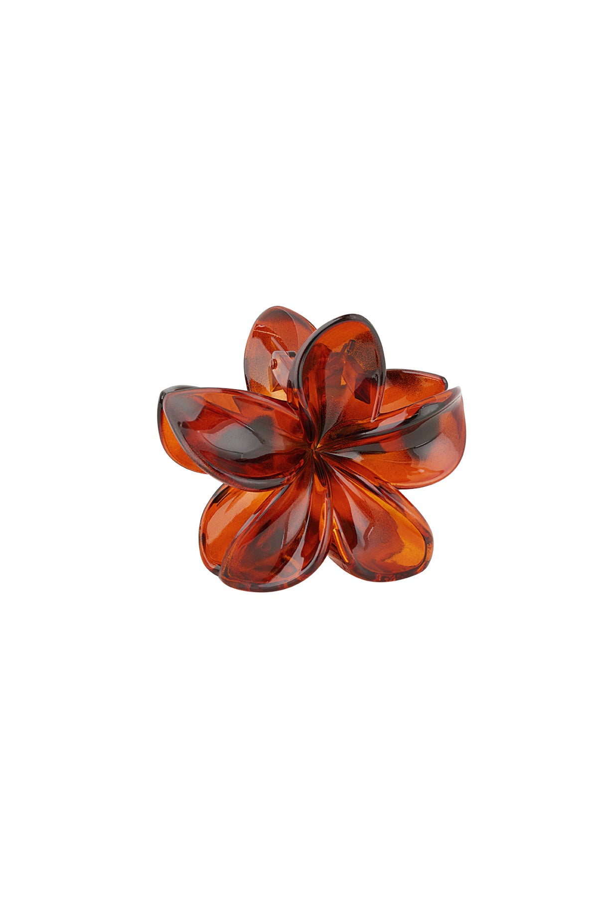 Barrette en plastique avec motif floral et imprimé léopard – plusieurs coloris