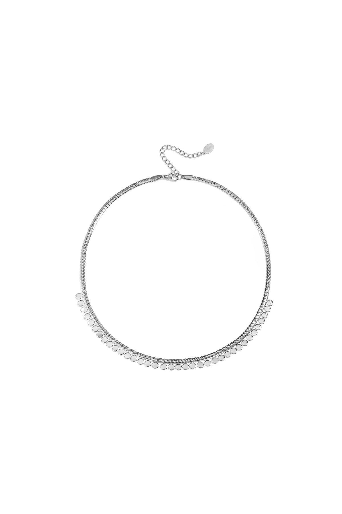 Ketting muntjes - Stainless Steel