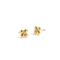 Gold colour