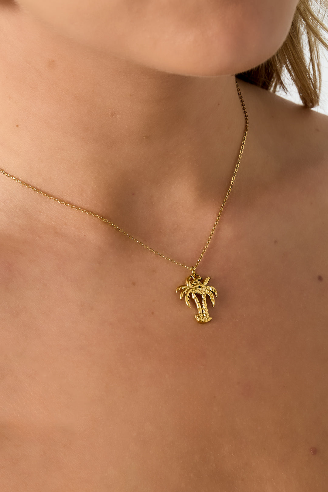 Collier pour femme avec pendentif en acier inoxydable 304 motif fruit – couleur or et argent – photo 2