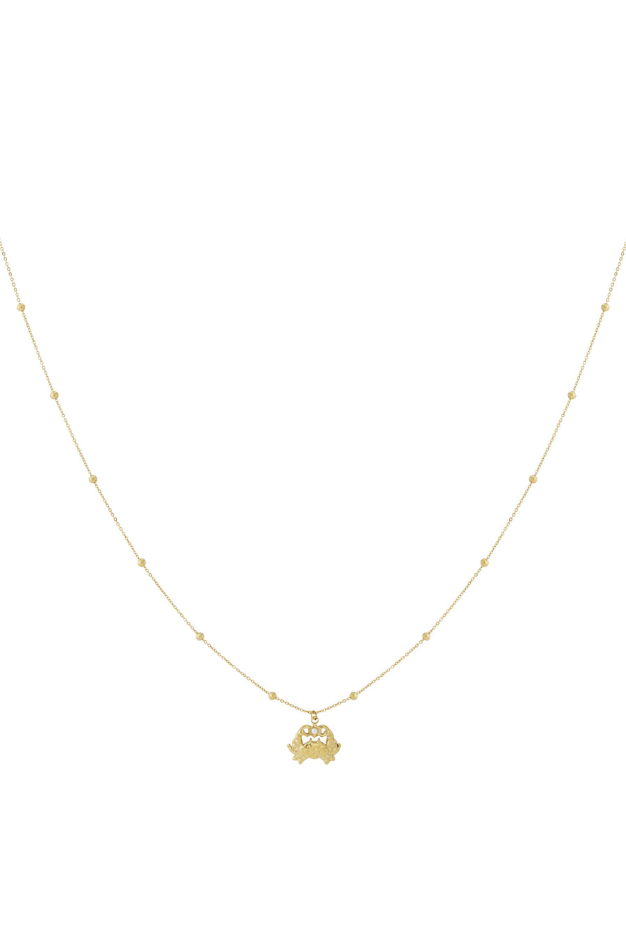   Hangerkettingen Animal Casual Daily Simple Series Damessieraden