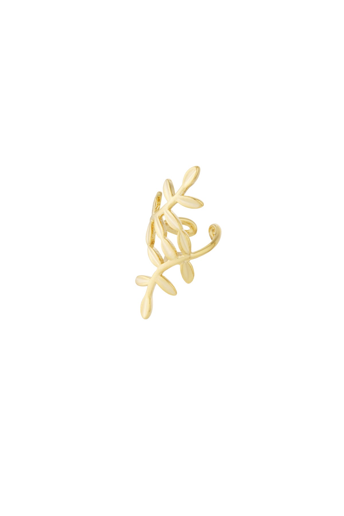 Gold colour