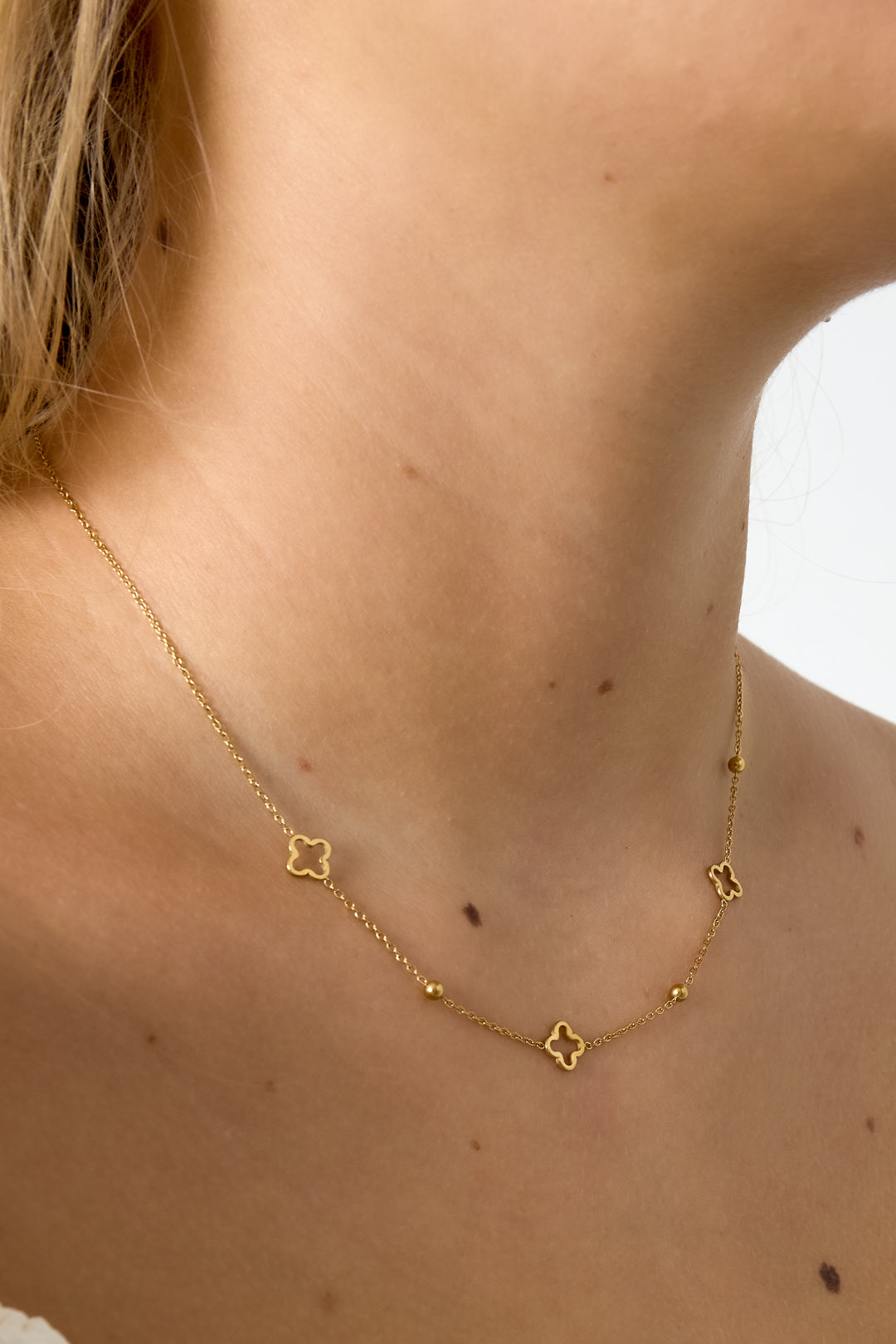 Ketting open klavers Goud kleur Stainless Steel